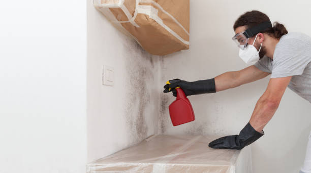 Professional Hvac And Air Duct Mold Remediation technician working in Greenlawn, NY